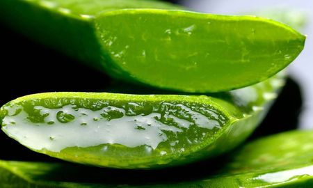 Cómo combatir las ojeras con aloe vera natural y aceite de coco. Cómo combatir las ojeras con aloe vera natural y aceite de coco.