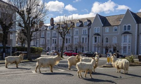 Llandudno (Gales, Reino Unido), 31 de marzo de 2020 Llandudno (Gales, Reino Unido), 31 de marzo de 2020
