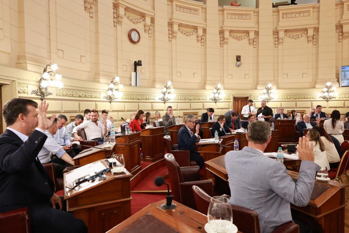 En la Cámara de Senadores se aprobaron 11 leyes de manera definitiva.