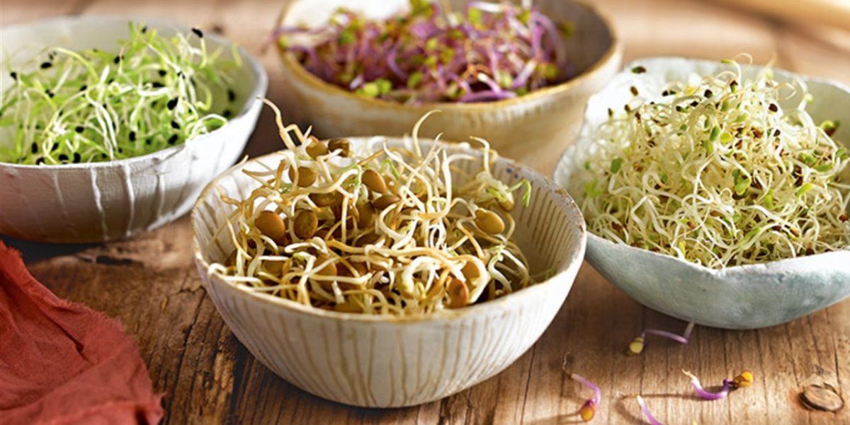 Por qué deberías incorporar germinados en tu dieta