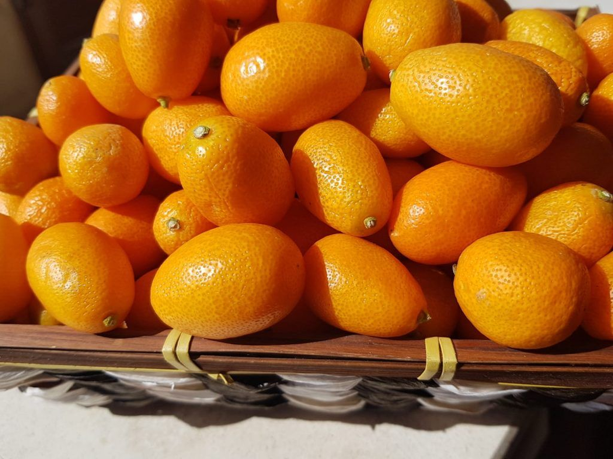 Los quinotos al whisky son un postre amados por unos pocos, ya que su sabor es fuerte e intenso. Los quinotos al whisky son un postre amados por unos pocos, ya que su sabor es fuerte e intenso.