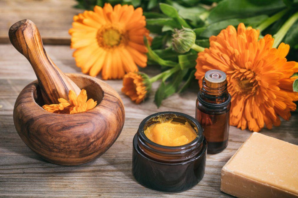 Caléndula: sus propiedades y beneficios para la salud