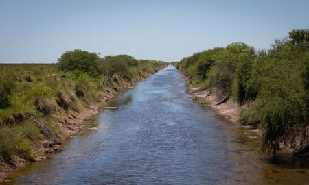 Un canal artificial en el corazón de los Bajos Submeridionales. Un canal artificial en el corazón de los Bajos Submeridionales.