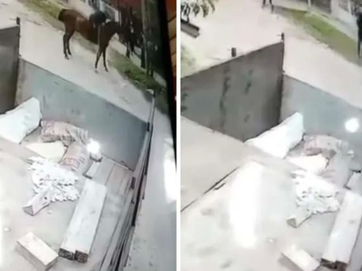 Ladrones a caballo robaron a dos estudiantes la Matanza frente a una escuela en 2022. Ladrones a caballo robaron a dos estudiantes la Matanza frente a una escuela en 2022.