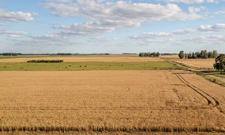 El suceso ocurrió el domingo pasado en un campo del norte provincial. El suceso ocurrió el domingo pasado en un campo del norte provincial.