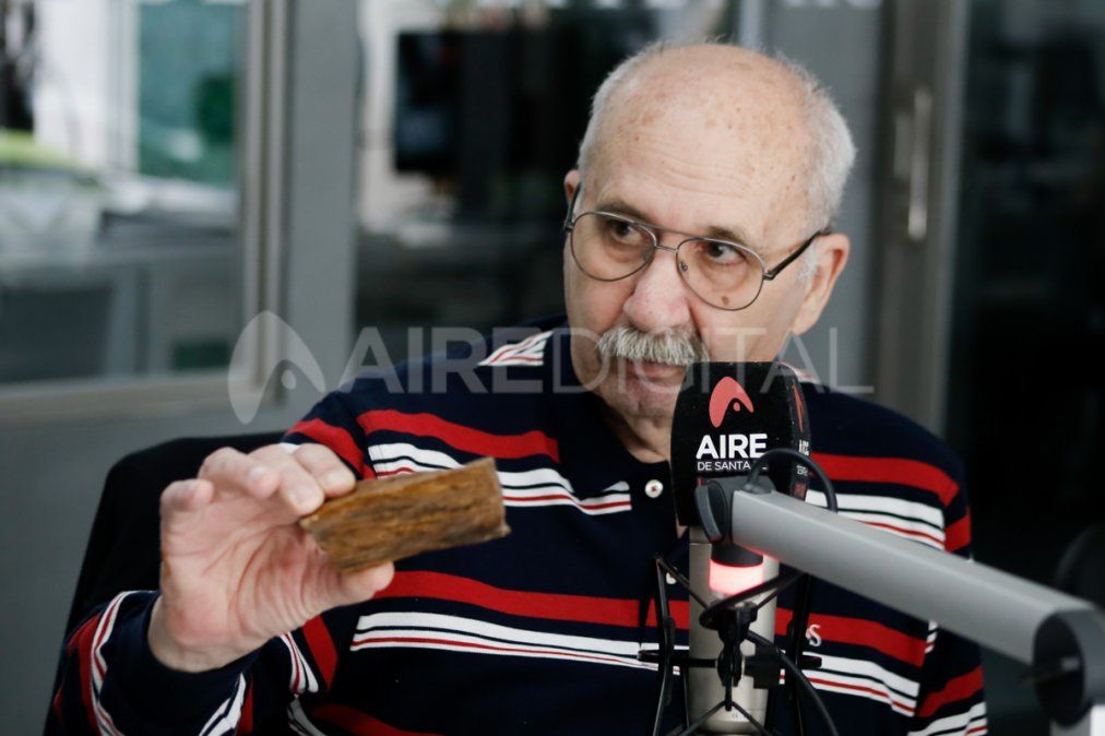 “Había un bosque petrificado en una de las zonas del canal que excavamos para el túnel”