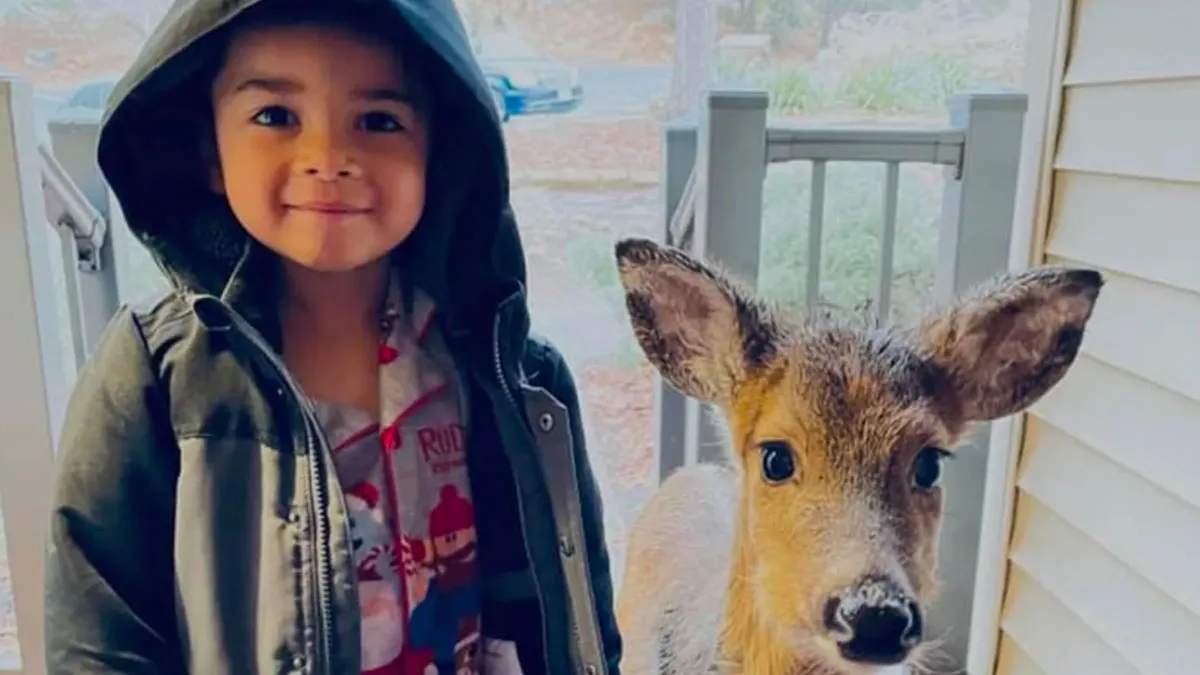 La madre del peque&ntilde;o de 4 a&ntilde;os comparti&oacute; la tierna y sorprendente imagen de su hijo junto a un animalito que encontr&oacute; mientras jugaba.