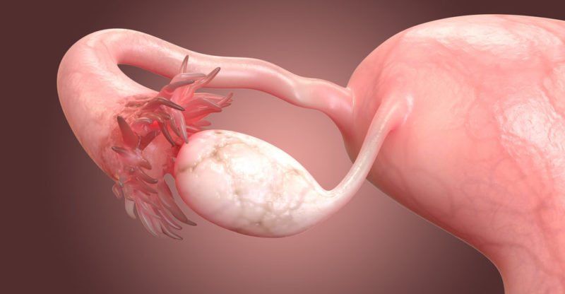 El funcionamiento de los ovarios se ve afectado al menos hasta nueve meses después de haber tenido Covid-19, lo que podría implicar una reducción en las chances de concebir de manera natural o mediante técnicas de reproducción asistida.