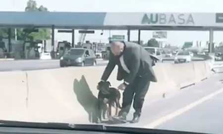 El video que enternece en redes: un hombre rescató a un perrito en el peaje de la autopista El video que enternece en redes: un hombre rescató a un perrito en el peaje de la autopista
