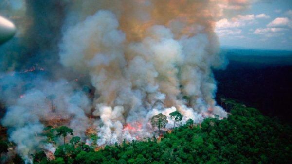 Incendio en el Amazonas: por qué pasó, cómo afecta y cómo ayudar