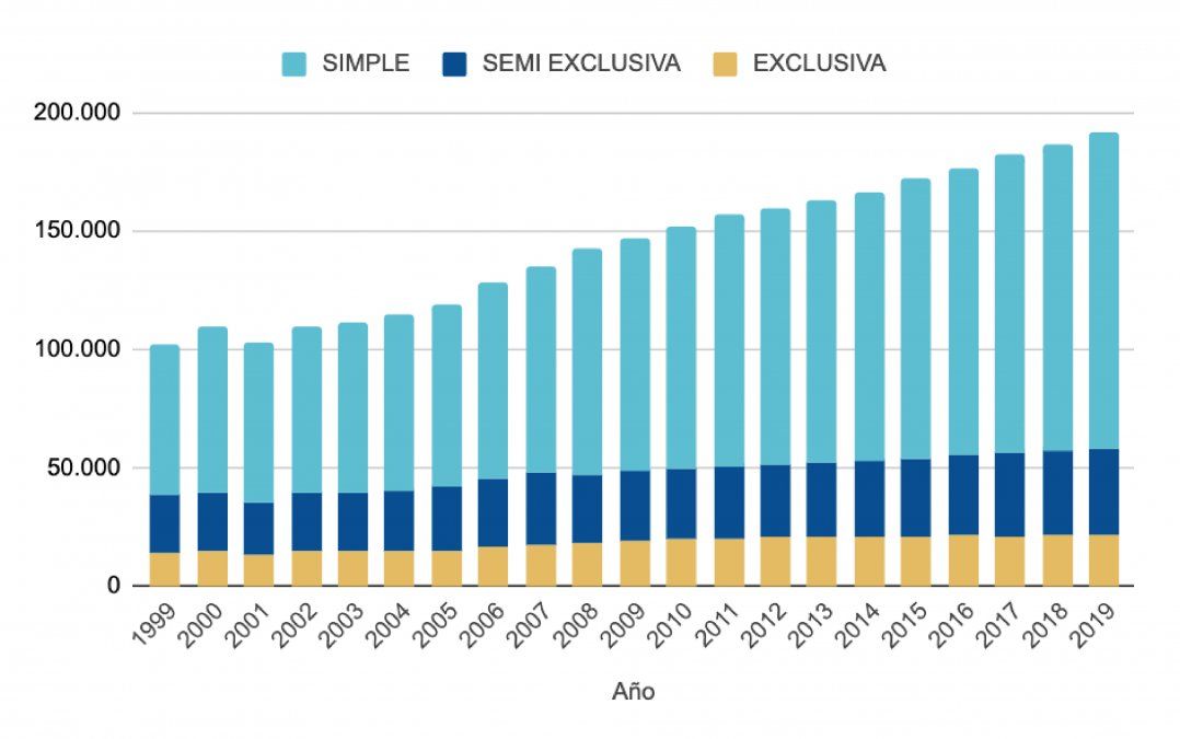 Cargos docentes por año (1999 - 2019)