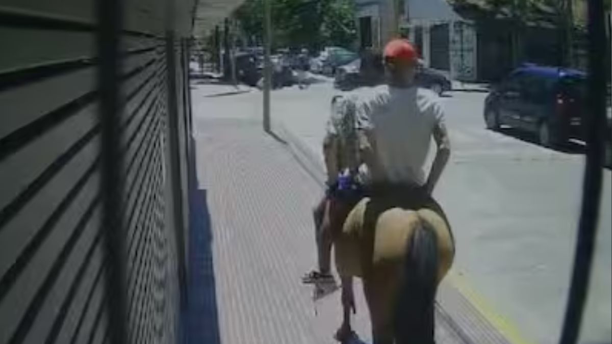 Cabachorros en Buenos Aires. Le robaron el celular a una mujer mientras esperaba el colectivo.