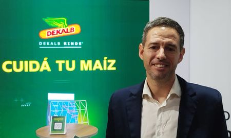 bayer y la agricultura digital: como los datos en el campo mejoran la productividad del maiz bayer y la agricultura digital: como los datos en el campo mejoran la productividad del maiz