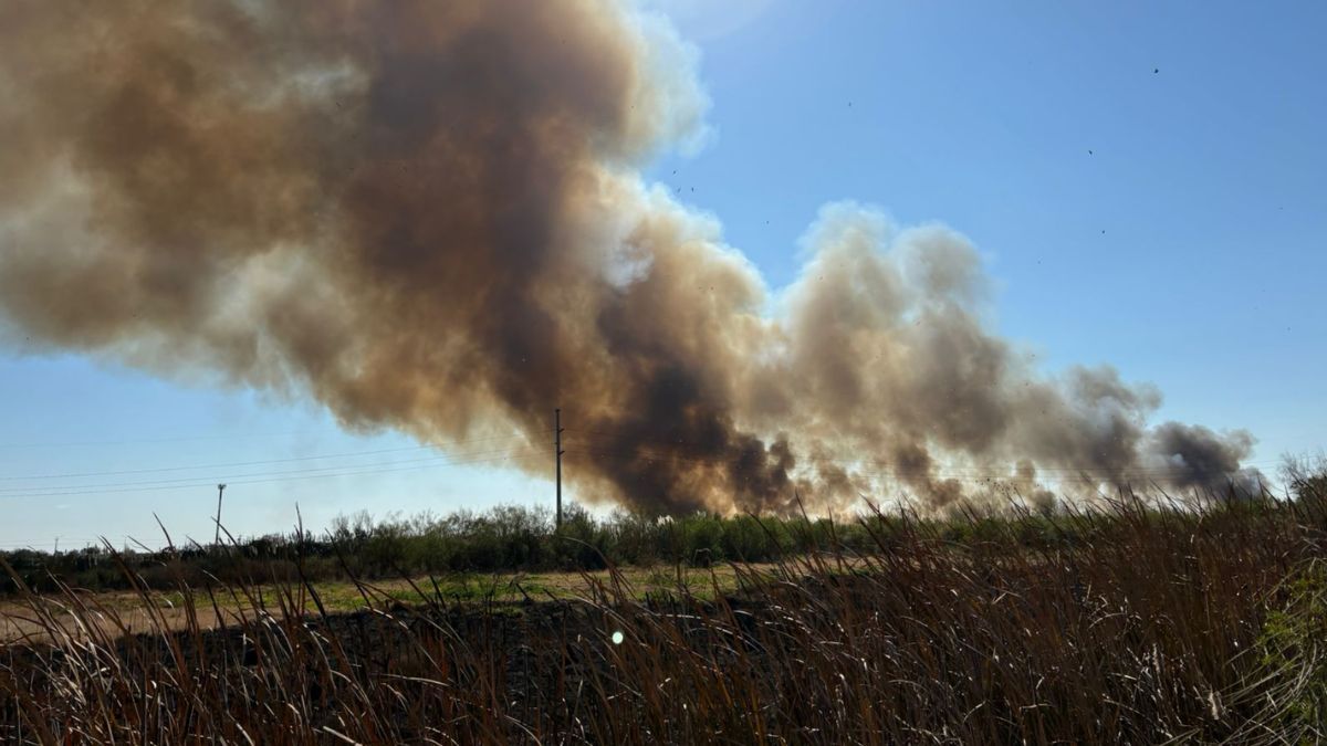 El video del incendio detrás de Villa del Parque que genera una columna de humo en Santa Fe y amenaza la infraestructura eléctrica