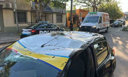 Así quedó el vehículo tras la caída de la rama mientras circulaba por Fomento 9 de Julio. Así quedó el vehículo tras la caída de la rama mientras circulaba por Fomento 9 de Julio.