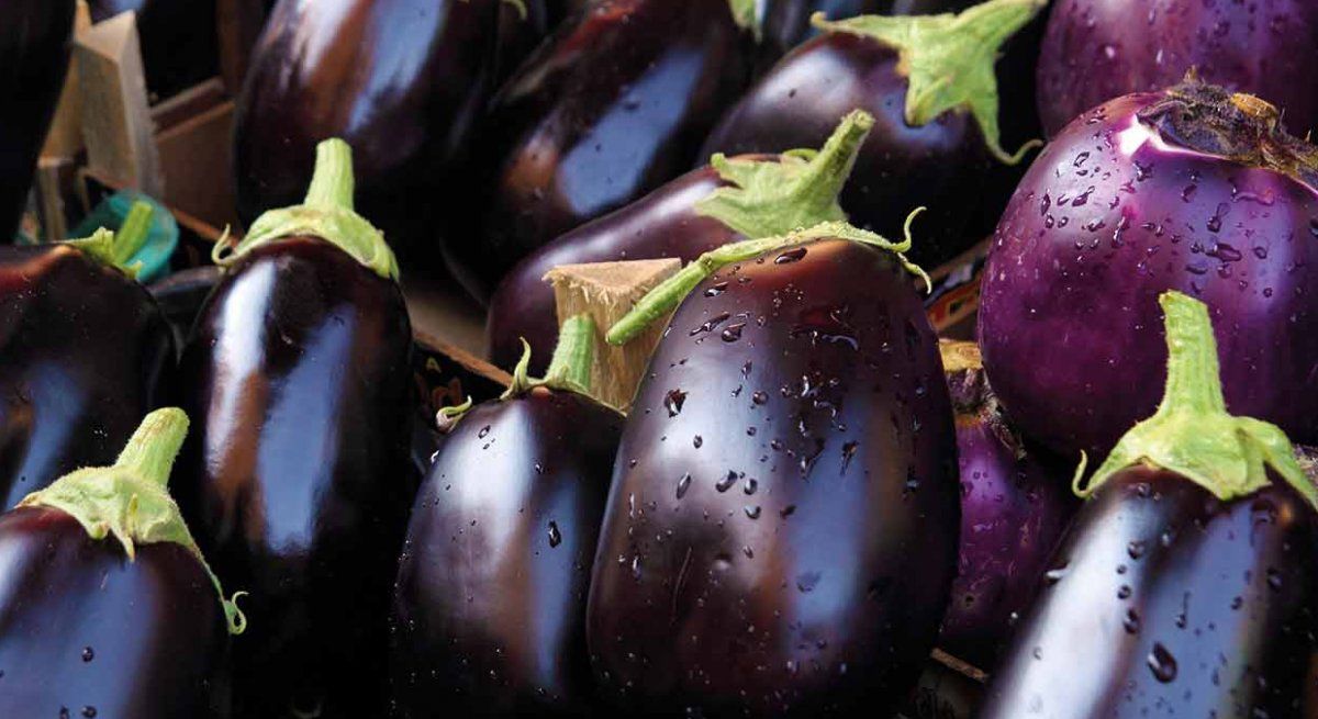 La berenjena aporta fibra y una variedad de nutrientes muy beneficiosos para la salud.