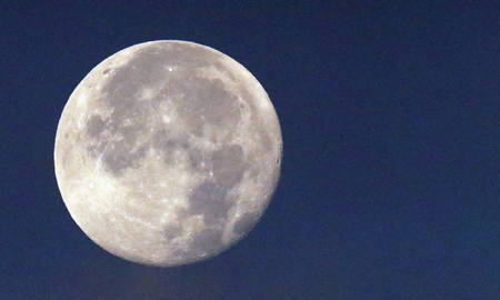 Aprende a utilizar la fuerza de la Luna Llena del 24 de febrero mediante un ritual ancestral que asegura el cumplimiento de tus anhelos. Aprende a utilizar la fuerza de la Luna Llena del 24 de febrero mediante un ritual ancestral que asegura el cumplimiento de tus anhelos.