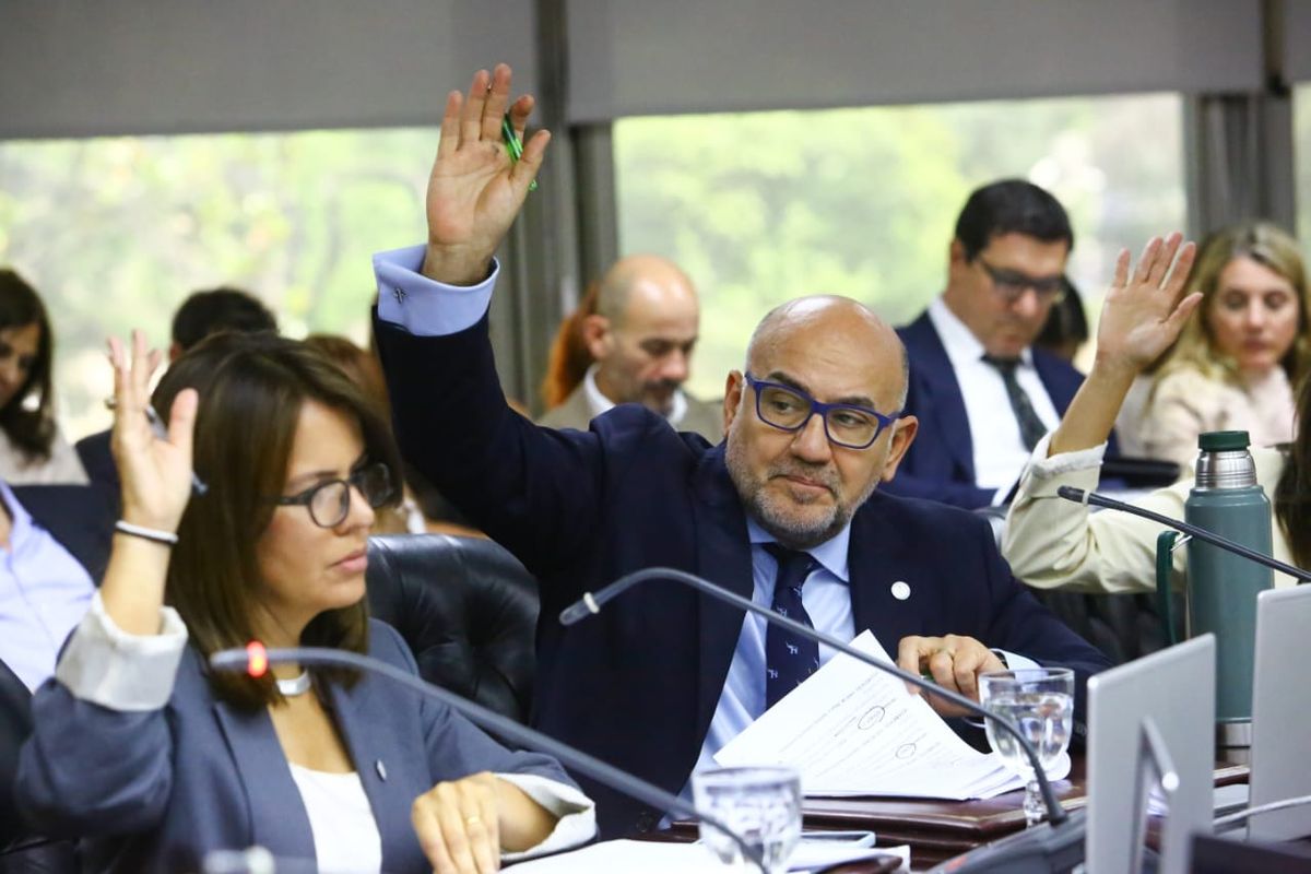 El Consejo de la Magistratura aprobó 13 ternas y avanzó contra varios jueces investigados. El Consejo de la Magistratura aprobó 13 ternas y avanzó contra varios jueces investigados.
