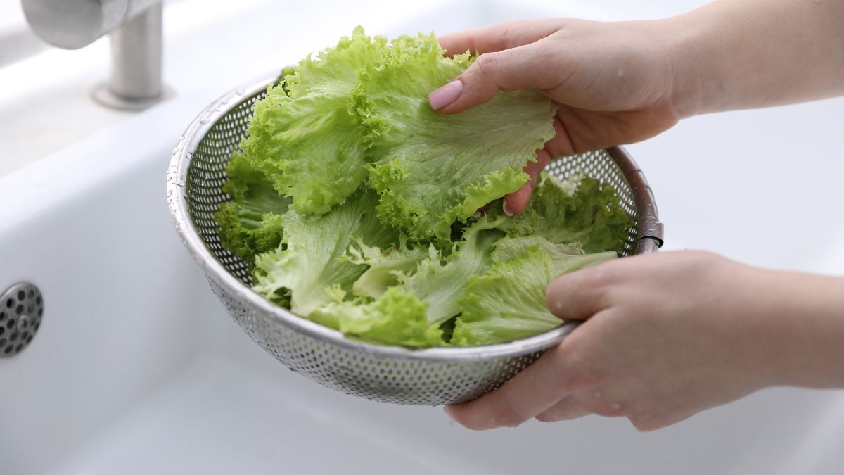 Hay maneras adecuadas para almacenar la lechuga en la heladera.