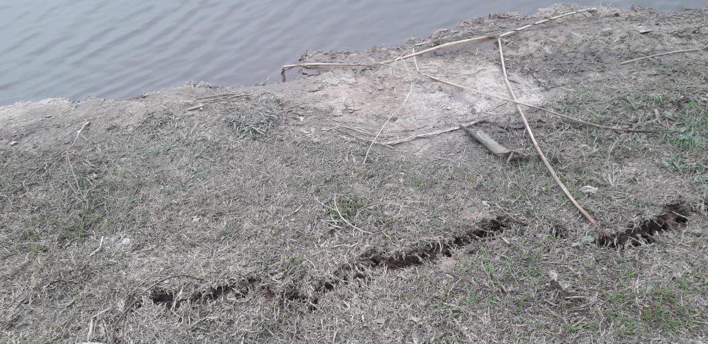 Gioria aseguró que “toda esa zona con el paso del tiempo va a seguir cayendo. Es un lugar que en crecidas está en proceso de erosión y en bajante, al no tener agua, provoca derrumbes. Es una zona muy inestable y de mucha longitud”.