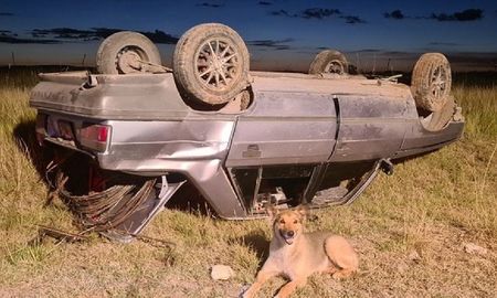 Un hombre volcó con su auto cerca de Pringles y su perro no se despegó de él Un hombre volcó con su auto cerca de Pringles y su perro no se despegó de él