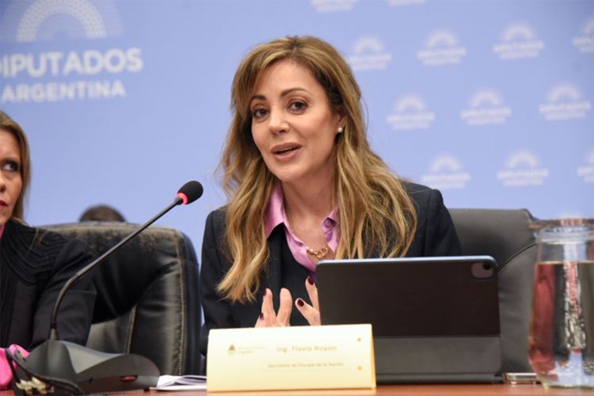 La secretaria de Energía de la Nación expuso en el Congreso sobre el proyecto que propone el Régimen de Promoción del Gas Natural Licuado Licuado.