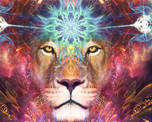 El portal del león: un momento para la transformación que regala la astrología El portal del león: un momento para la transformación que regala la astrología