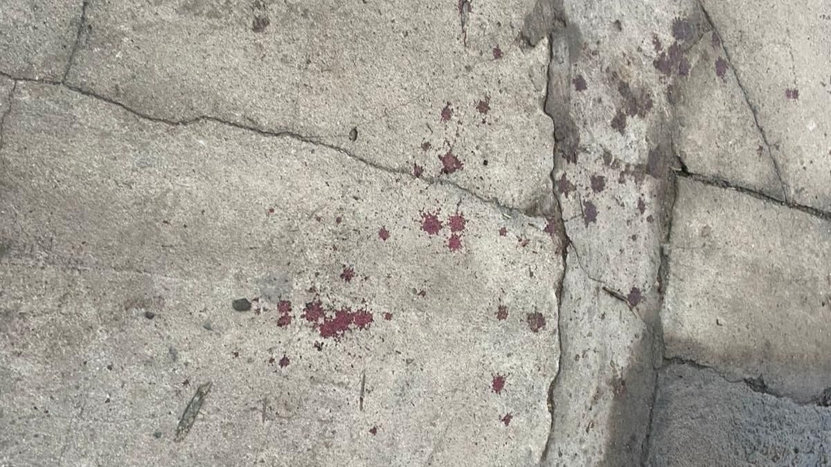 Las marcas del crimen en el frente de la casa en La Pampa 6900. Las marcas del crimen en el frente de la casa en La Pampa 6900.