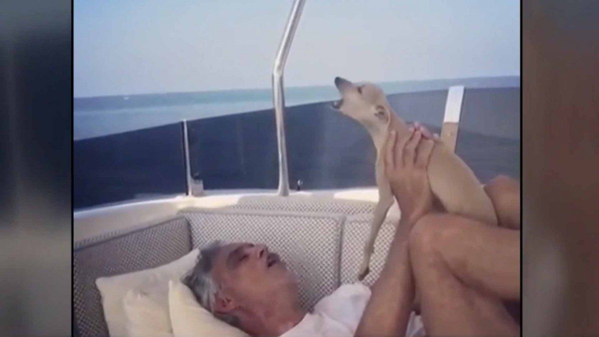 Andrea Bocelli perdi&oacute; a su perro en el mar: enfrenta denuncia y maltrato por las redes