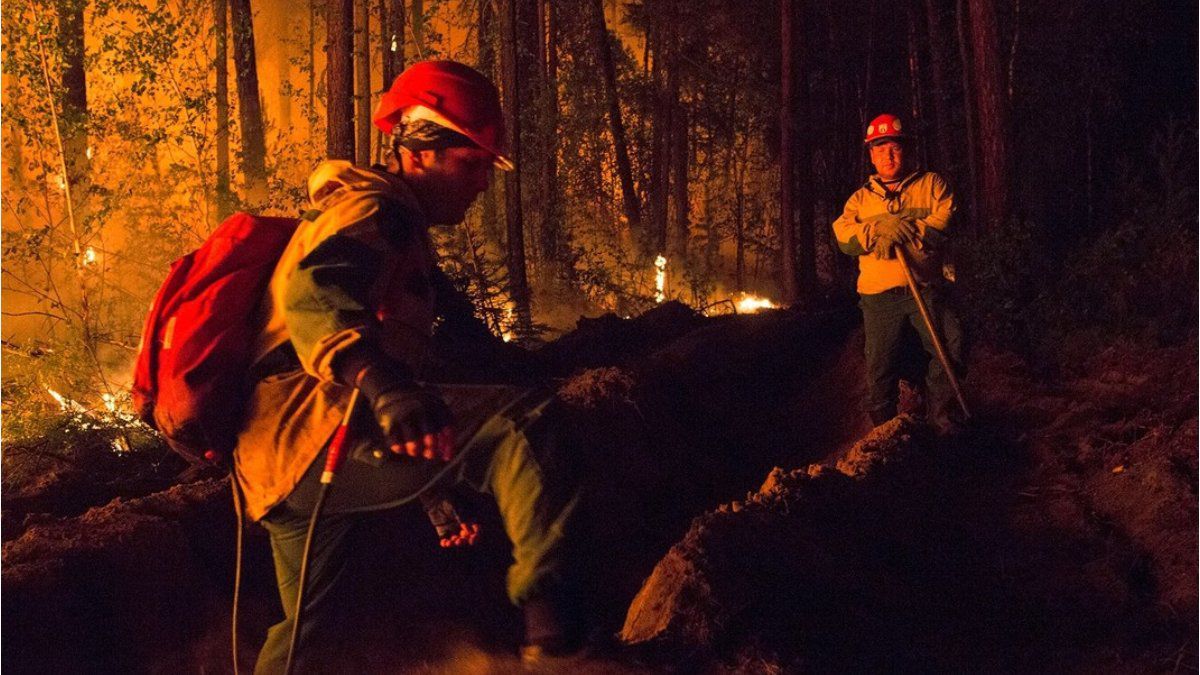 Con más de 1.5 millones de hectáreas arrasadas