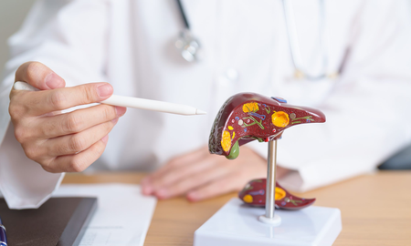 La detección temprana mediante ecografía permite identificar la esteatosis hepática metabólica antes de que se presenten complicaciones graves.