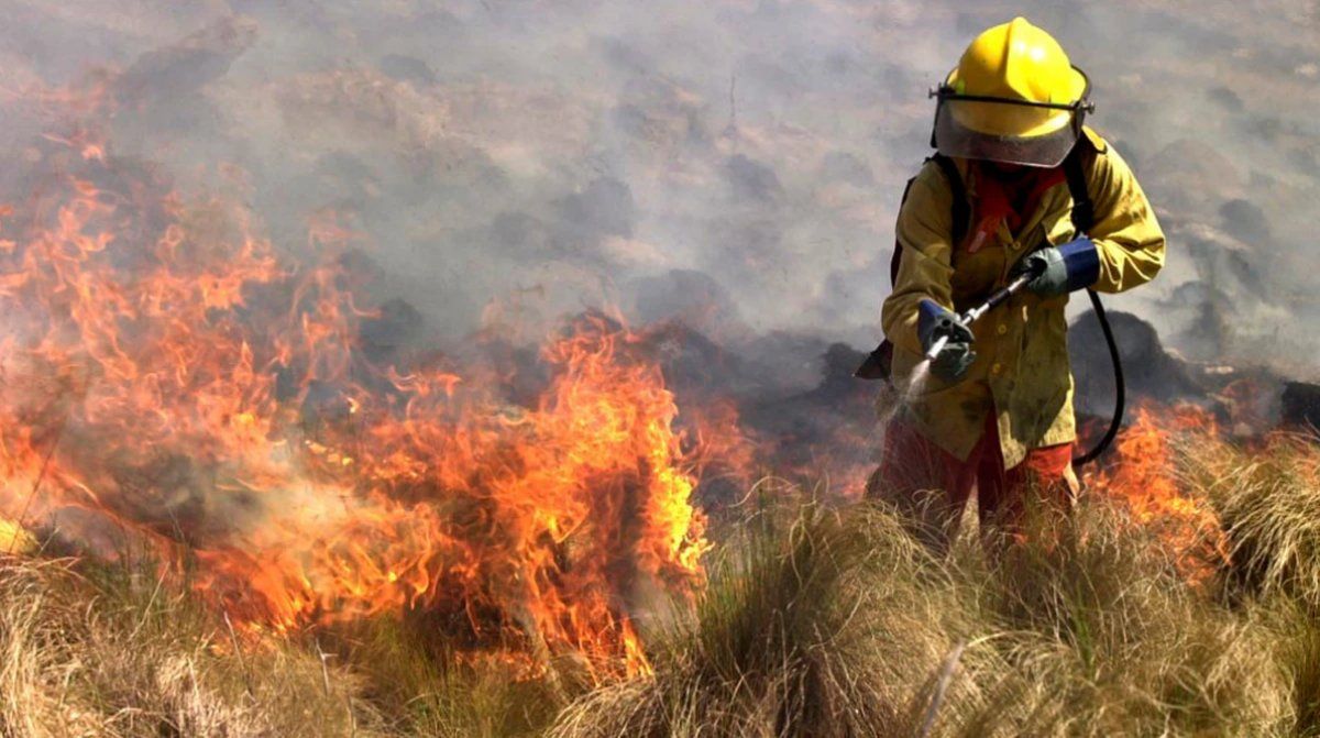 Incendios en Corrientes: las llamas se acercan a las viviendas