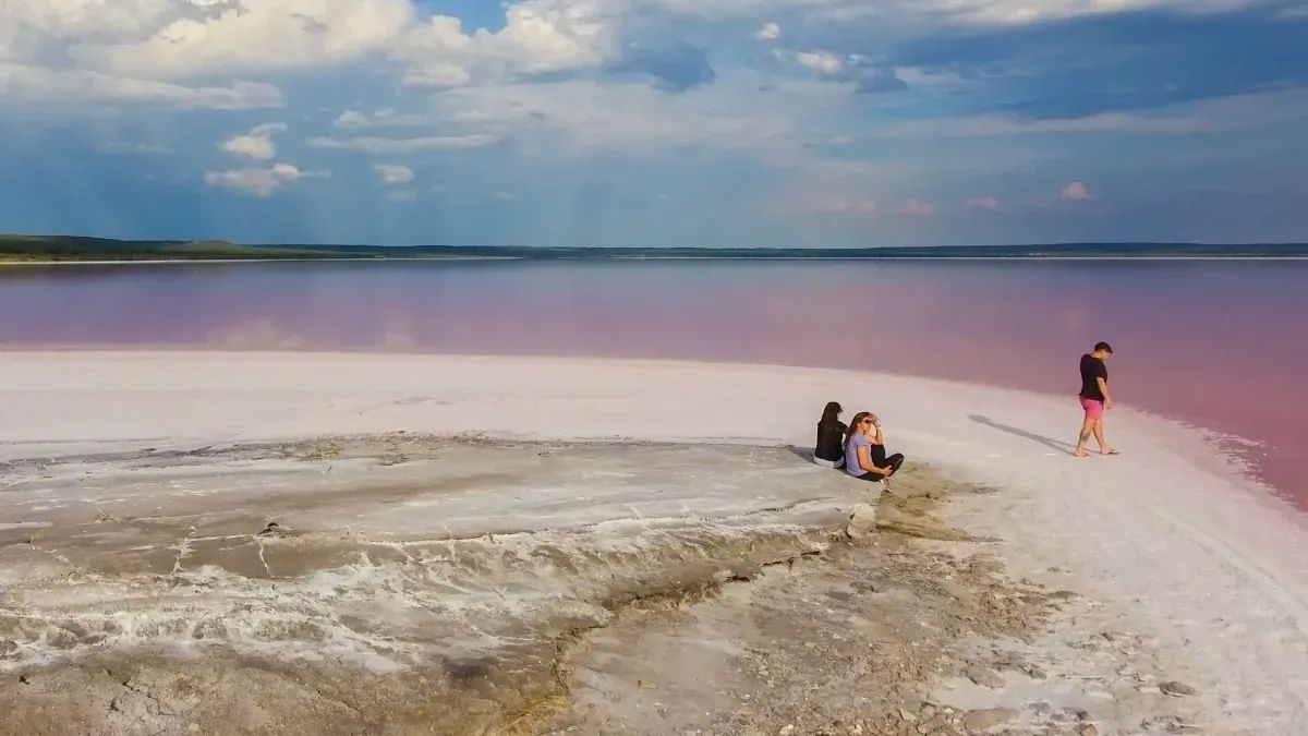 La mara pampeana, que habita los bordes del salitral, es uno de los roedores más grandes del mundo y una especie única de la estepa argentina. La mara pampeana, que habita los bordes del salitral, es uno de los roedores más grandes del mundo y una especie única de la estepa argentina.