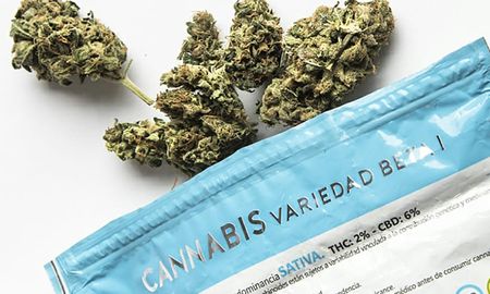 Uruguay lleva una década con la regulación del mercado legal de cannabis. Uruguay lleva una década con la regulación del mercado legal de cannabis.