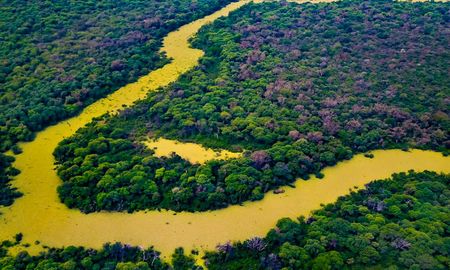 se deforestaron mas de 80.000 hectareas del norte argentino en 2019 se deforestaron mas de 80.000 hectareas del norte argentino en 2019