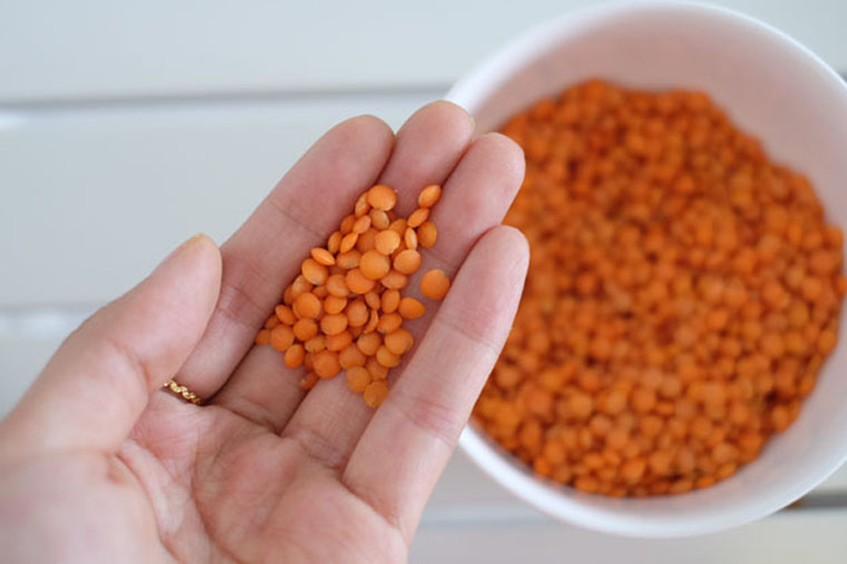 MasterChef: qué son las lentejas turcas o coral que impresionaron a Damián Betular