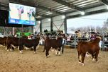 Expo Rural de San Justo: cuatro días que pueden transformar los próximos años