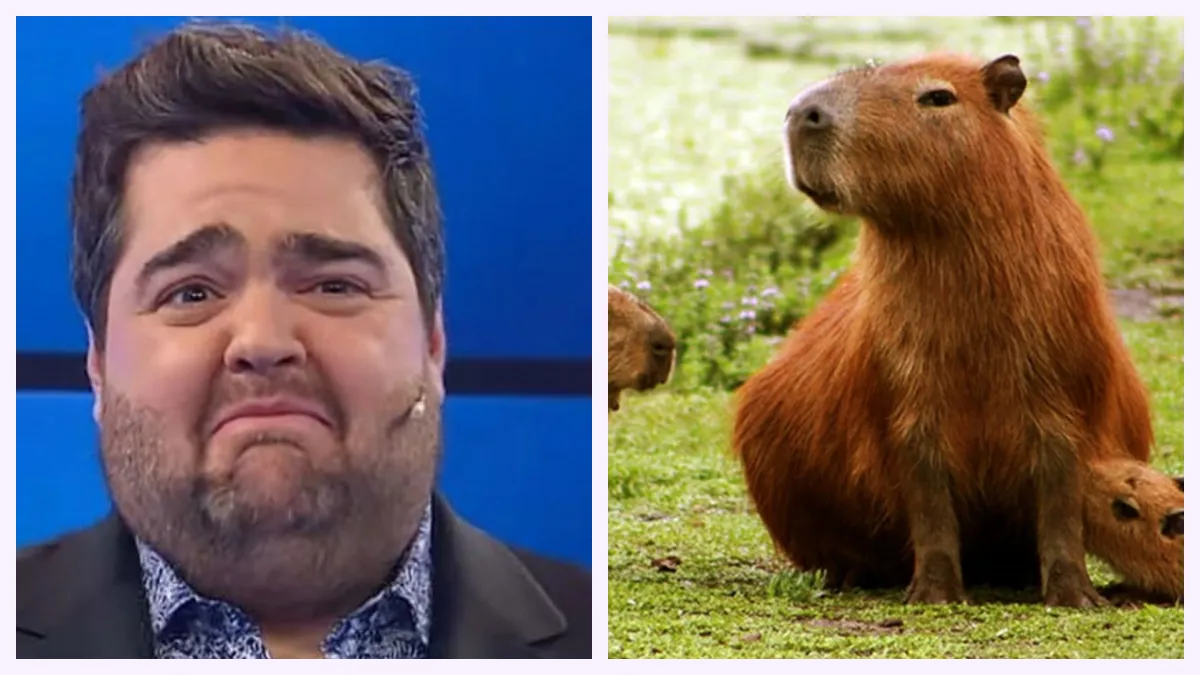 Darío Barassi relató un encuentro místico: Creo que en una vida pasada fui carpincho: peludo