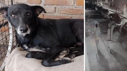 La triste historia de 