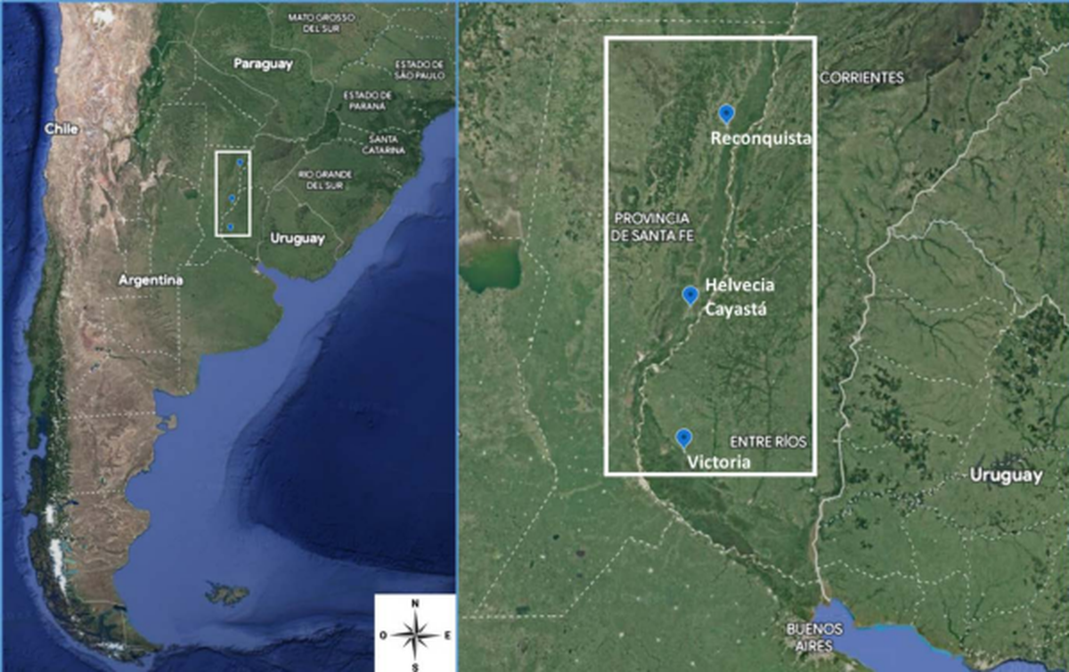 Zonas donde se realiz&oacute; el &uacute;ltimo estudio para determinar la situaci&oacute;n de la fauna ict&iacute;cola del Paran&aacute;.