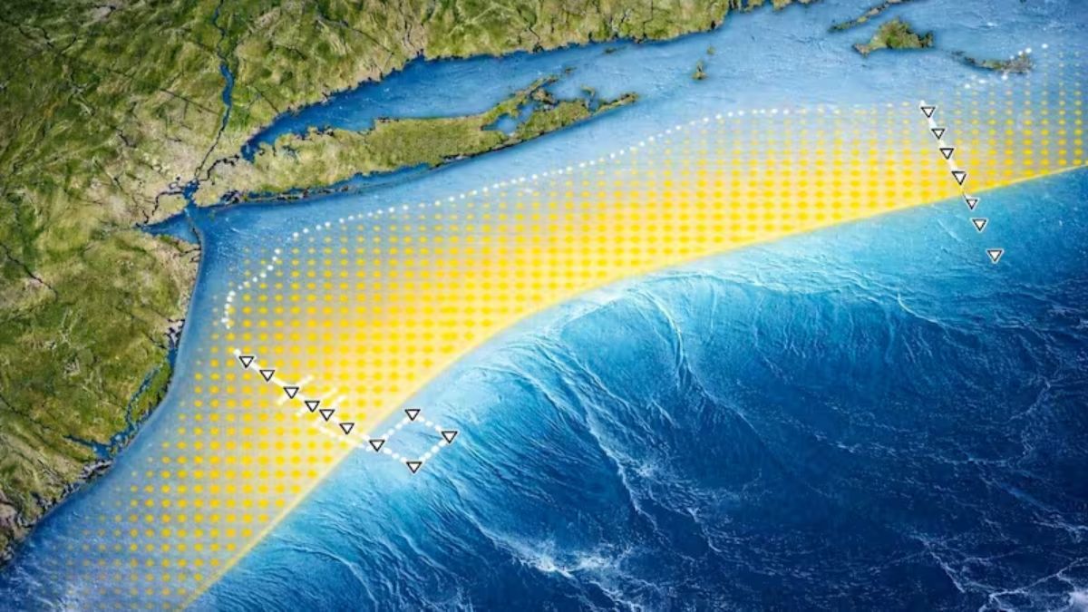 El análisis de los 50.000 litros extraídos reveló una salinidad de apenas 1 gramo por litro, una pureza sorprendente para un acuífero rodeado de agua salada. El análisis de los 50.000 litros extraídos reveló una salinidad de apenas 1 gramo por litro, una pureza sorprendente para un acuífero rodeado de agua salada.