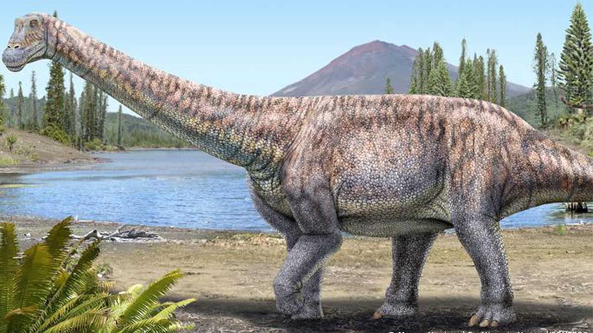 Presentan en Chile una especie desconocida de dinosaurio hallado en el desierto de Atacama