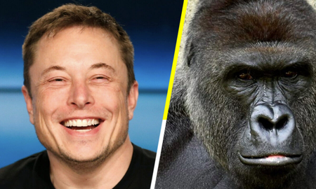 Elon Musk comparó a su hijo con un gorila y estallaron los memes Elon Musk comparó a su hijo con un gorila y estallaron los memes