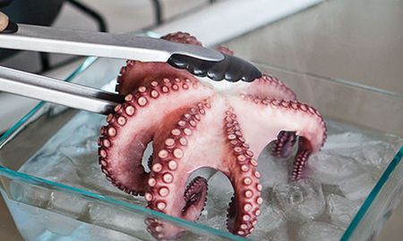 Repechaje en MasterChef: cómo asustar un pulpo para cocinar como se vio en el programa Repechaje en MasterChef: cómo asustar un pulpo para cocinar como se vio en el programa