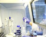 una compania farmaceutica asegura tener un anticuerpo para proteger a las celulas del coronavirus una compania farmaceutica asegura tener un anticuerpo para proteger a las celulas del coronavirus