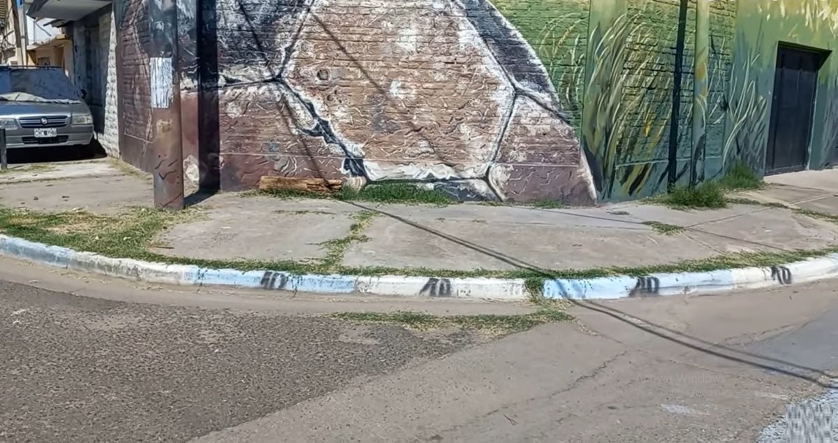 Los cordones de la calle del barrio donde nació Lionel Messi pintados de celeste y blanco.