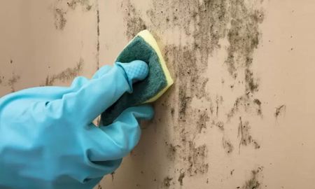 Cómo limpiar las manchas de humedad de la pared con un truco casero. Cómo limpiar las manchas de humedad de la pared con un truco casero.