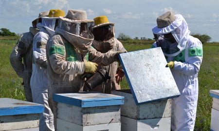 Los productores afectados deberán iniciar el trámite a través del portal de la provincia Los productores afectados deberán iniciar el trámite a través del portal de la provincia