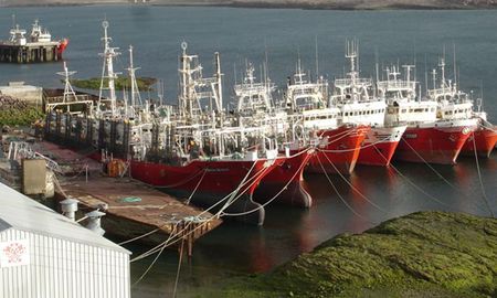 gremio de pesca paro la flota nacional en rechazo a la suspension de un capitan gremio de pesca paro la flota nacional en rechazo a la suspension de un capitan
