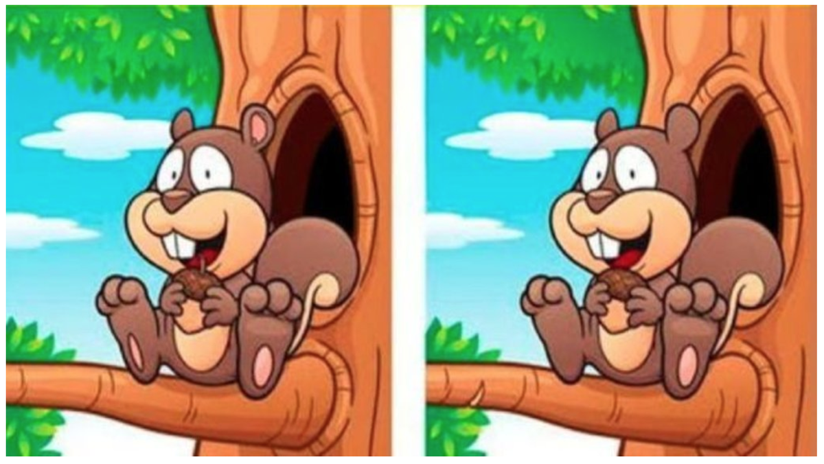 RETO VISUAL nivel PRO: solo el 2% encontró las 5 diferencias ¡en 7 segundos!